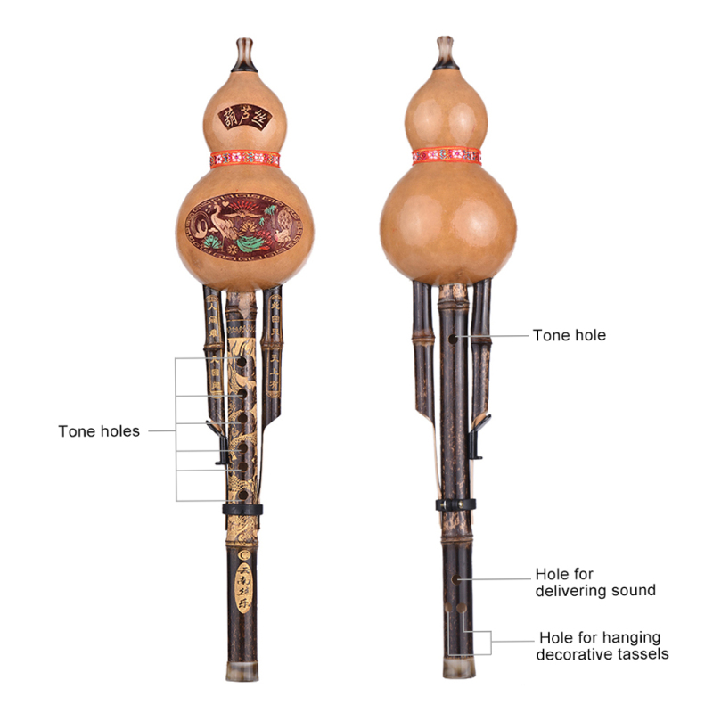 Chinese Handgemaakte Zwarte Ba - Musical Instrument Lute recensie en prijs
