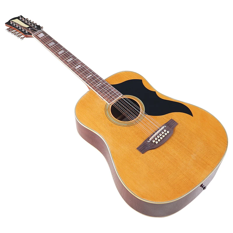 Akoestische gitaar 12-snarige  - Dobro Resonator Guitar recensie en prijs