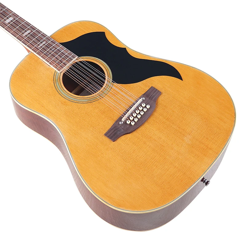 Akoestische gitaar 12-snarige  - Dobro Resonator Guitar recensie en prijs