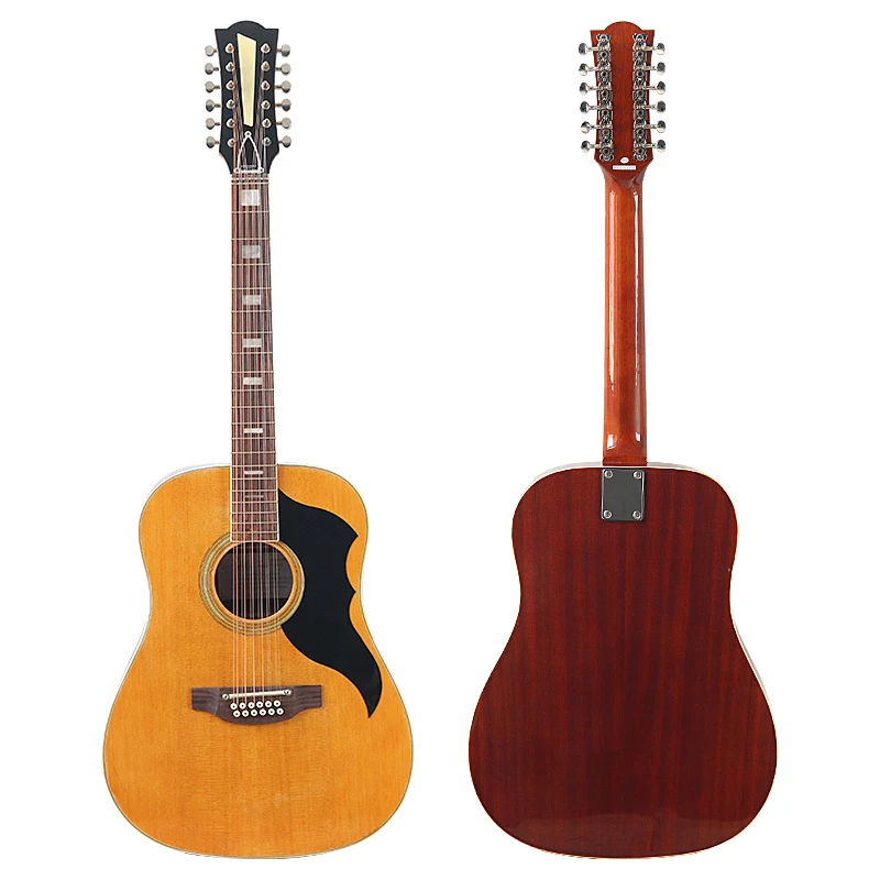 Akoestische gitaar 12-snarige  - Dobro Resonator Guitar recensie en prijs