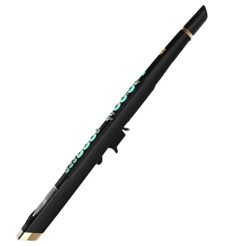 C20 true sampling huishoudelij - Musical Instrument You Blow Into recensie en prijs