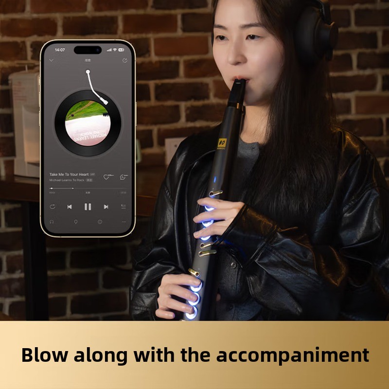 C20 true sampling huishoudelij - Musical Instrument You Blow Into recensie en prijs