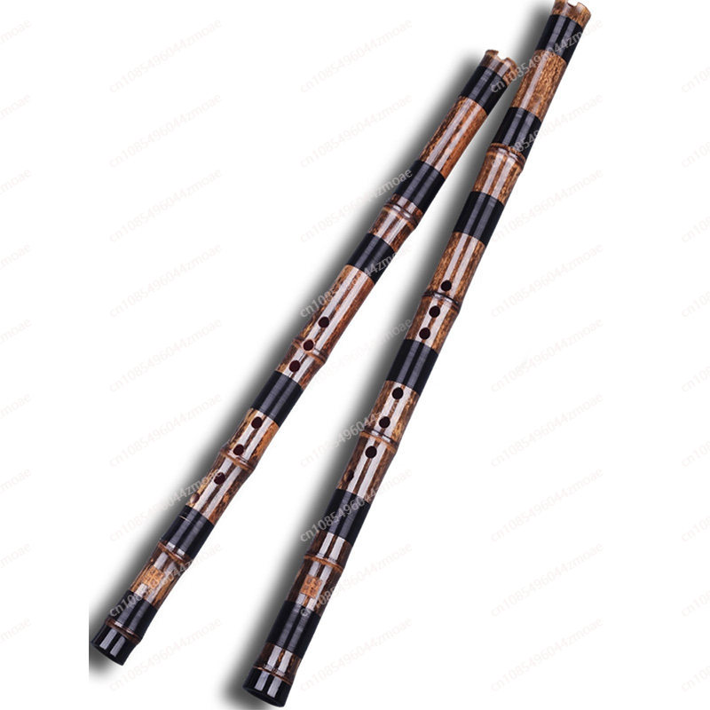 Professionele speelgatfluit éé - Musical Instrument You Blow Into recensie en prijs