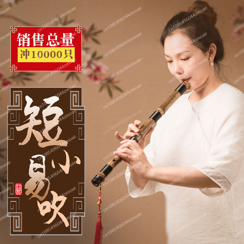 Professionele speelgatfluit éé - Musical Instrument You Blow Into recensie en prijs