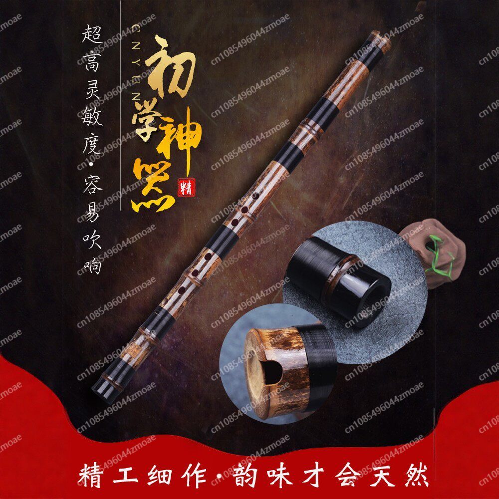 Professionele speelgatfluit éé - Musical Instrument You Blow Into recensie en prijs
