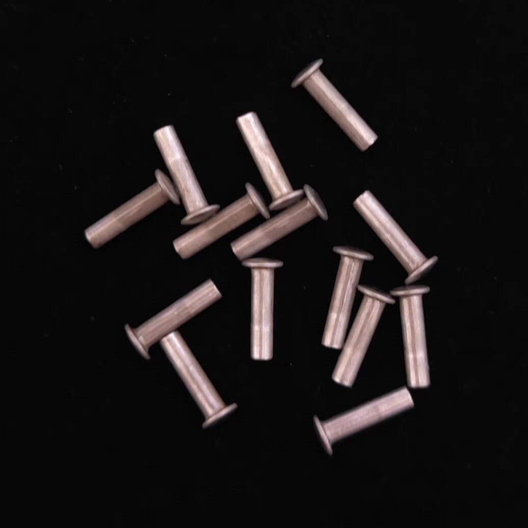 10pcs Slinger Klinknagels Fit  - Musical Instrument Zither recensie en prijs