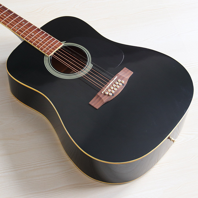 12-snarige elektro-akoestische - Dobro Resonator Guitar recensie en prijs