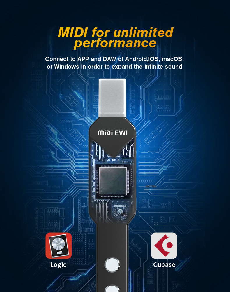 upgrade Mini Digitale Elektron - Musical Instrument Lute recensie en prijs