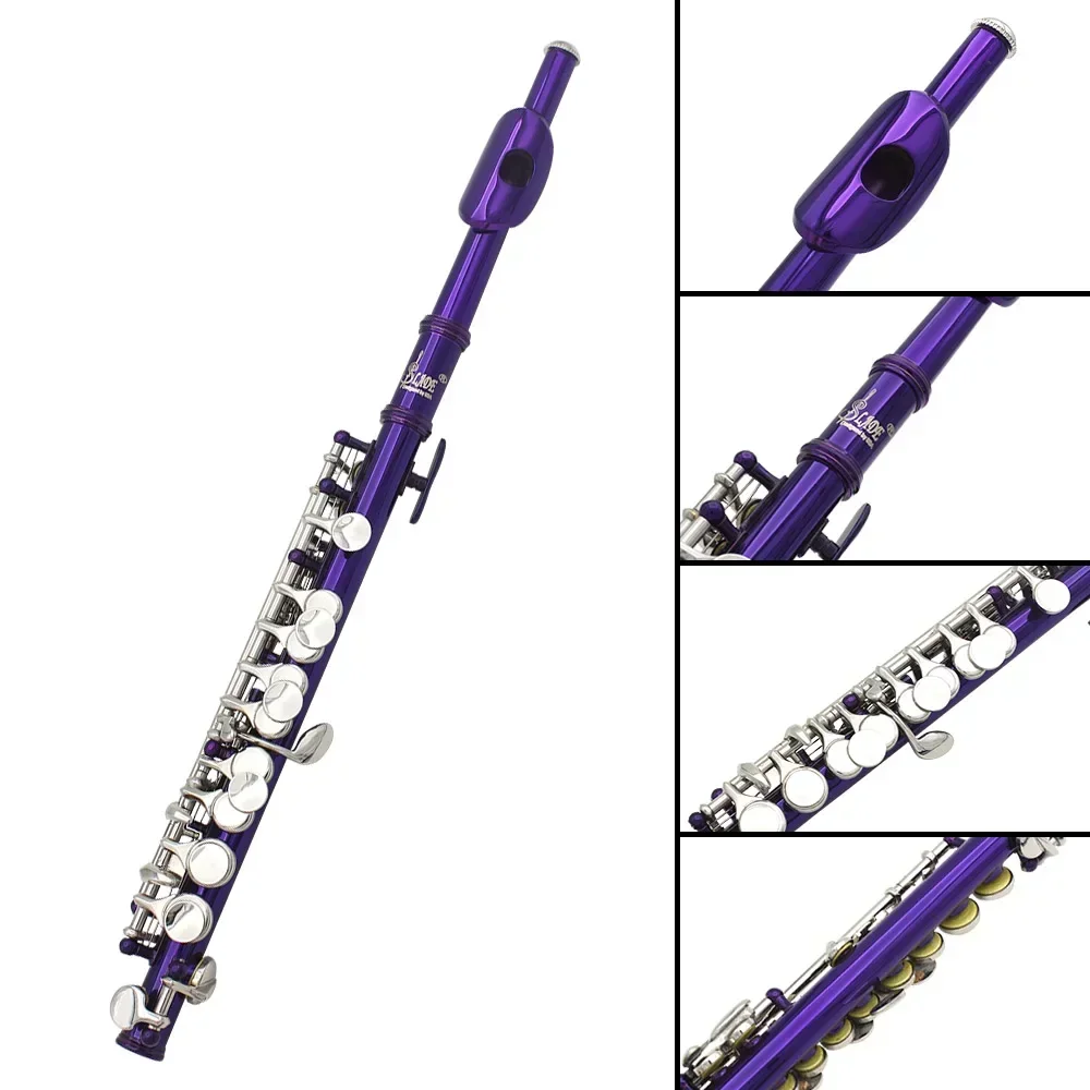 SLADE 16 Gaten Piccolo C Key V - Musical Instrument You Blow Into recensie en prijs